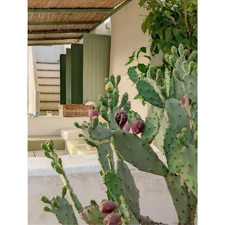 Villa Trulli Li Cridd *