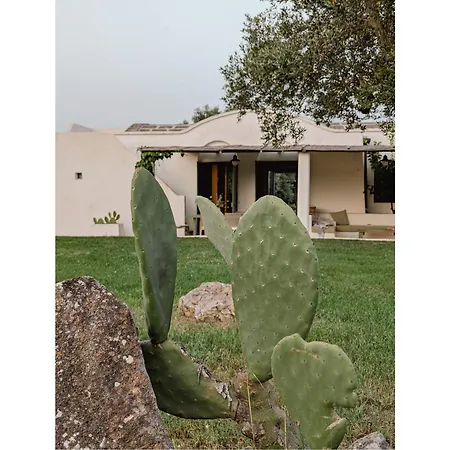 Villa Trulli Li Cridd