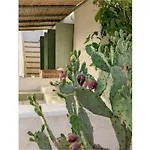 Villa Trulli Li Cridd *