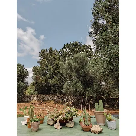 Trulli Li Cridd Vila *